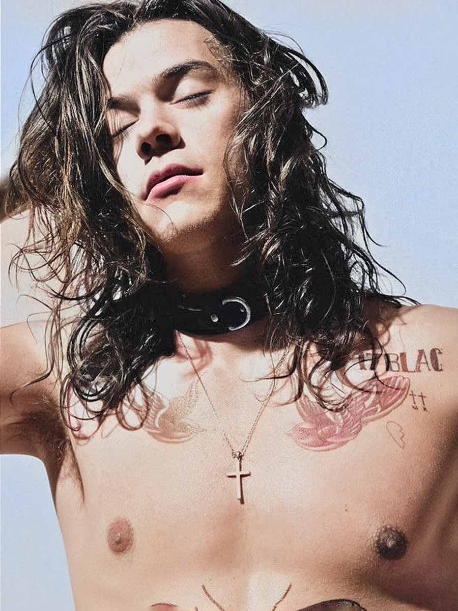 Harry Styles Shirtless Gallery - Sin Camisa - armpit