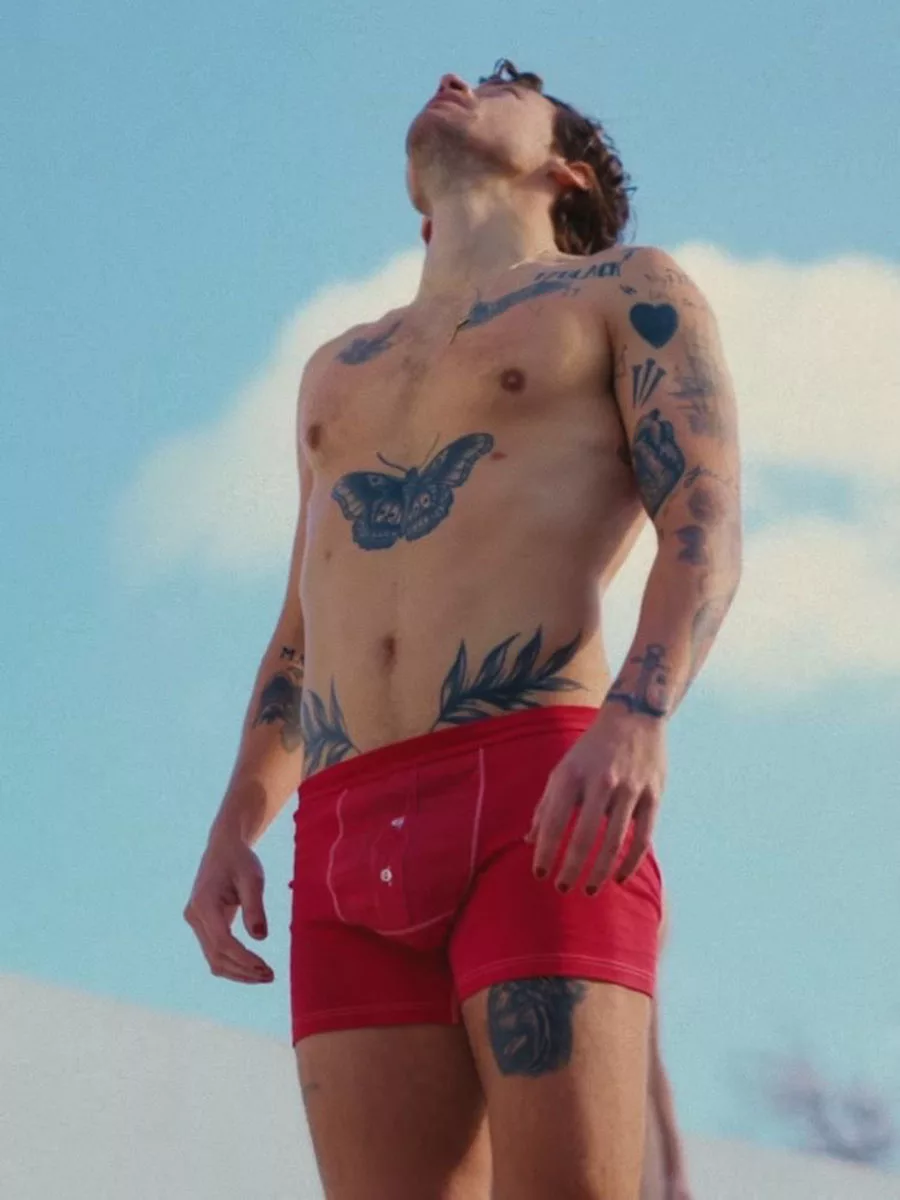 Harry Styles armpits- shirtless- sin camisa -axila 